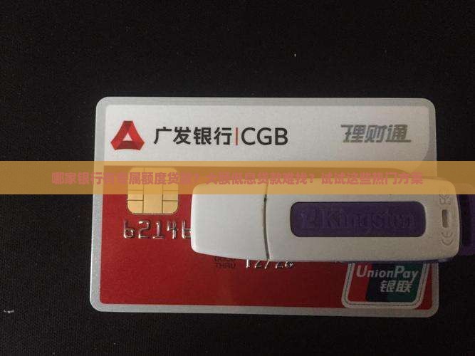 哪家银行有专属额度贷款