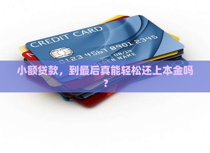 小额贷款最后还本金