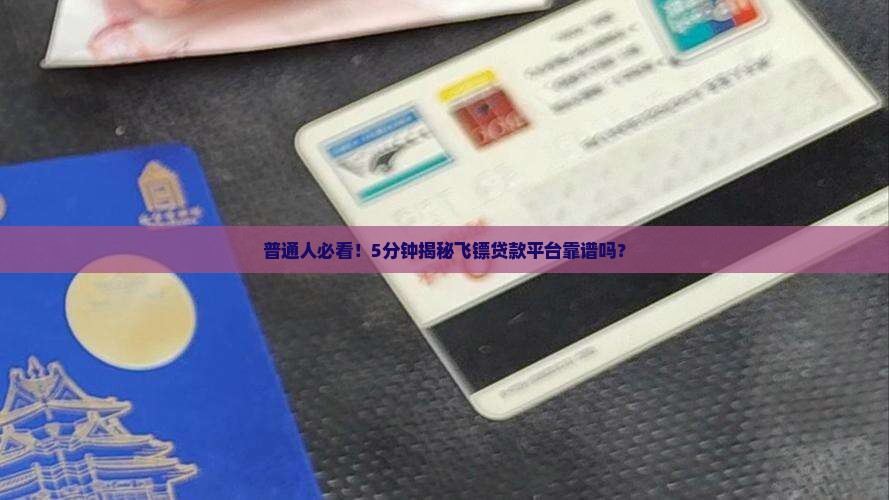 什么是飞镖贷款平台