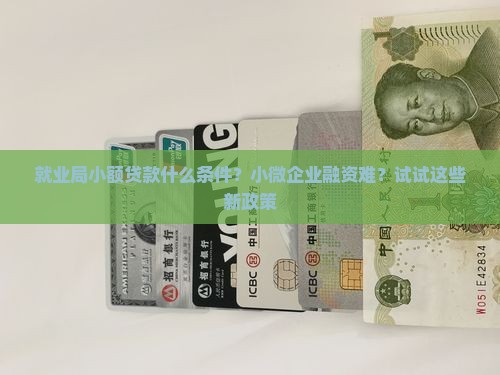 就业局小额贷款什么条件