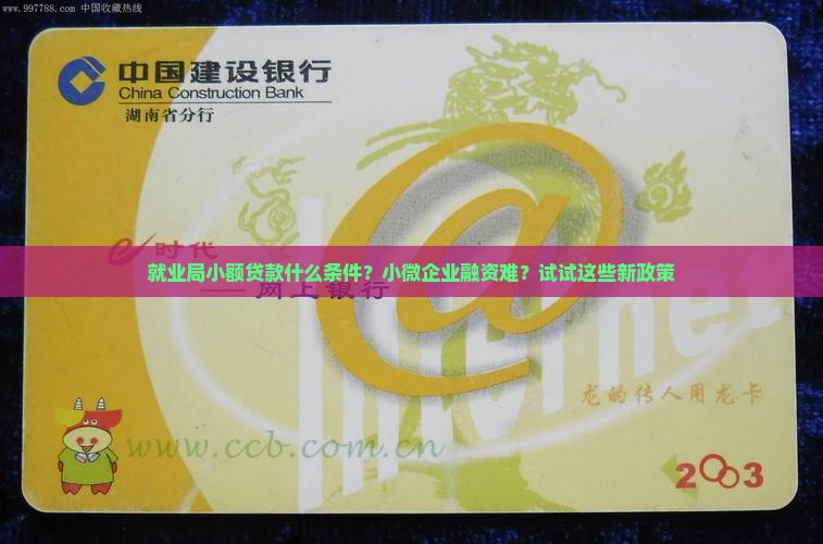 就业局小额贷款什么条件
