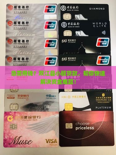 双江县小额贷款