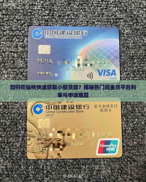 仙桃哪里可以小额贷款