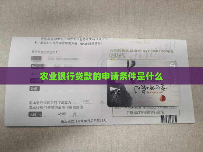 农业银行是否有贷款资格