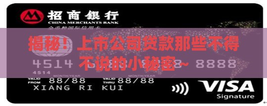 上市公司贷款规定