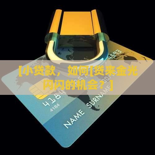 小额贷款要服务金