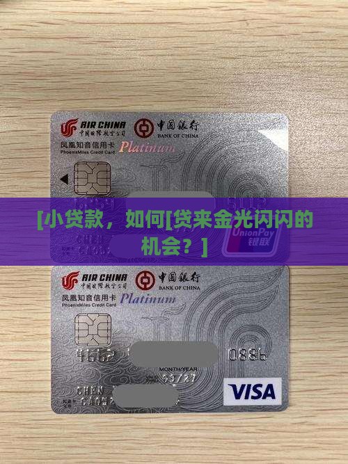 小额贷款要服务金