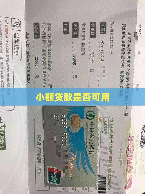 小额贷款能不能用