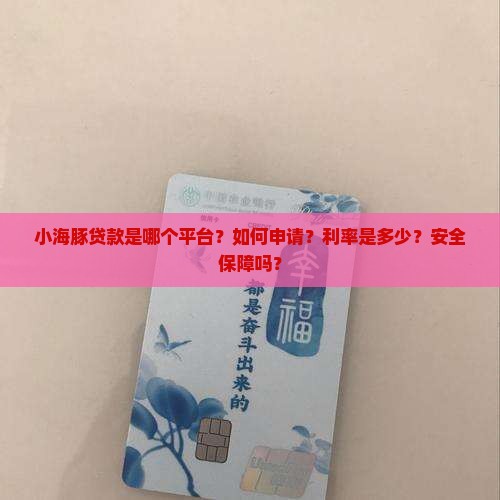 小海豚贷款是哪个口子