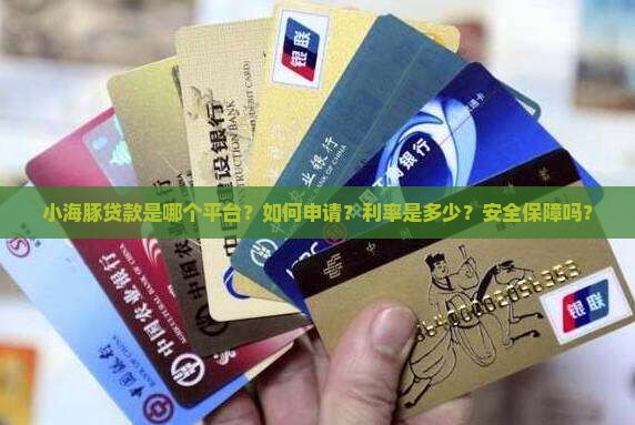 小海豚贷款是哪个口子