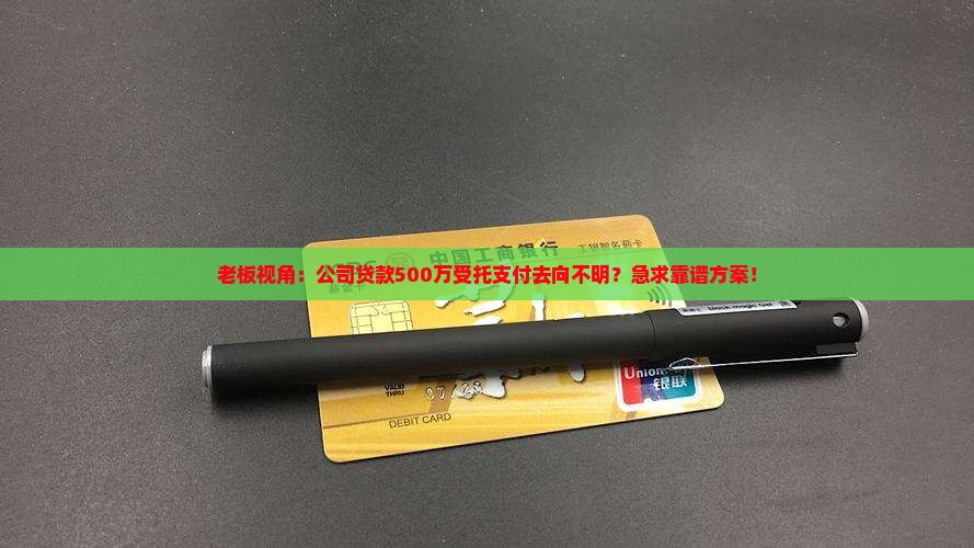 公司贷款受托支付金额