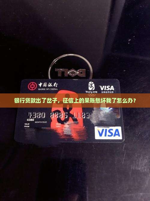 征信有银行贷款呆帐