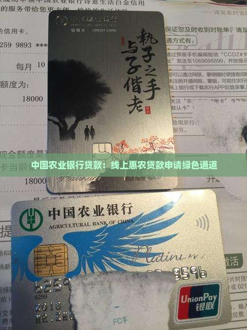 农业银行可以贷款吗网上
