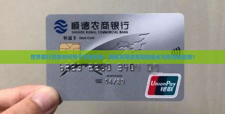 世界银行的贷款用途