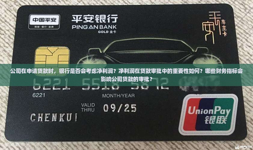 公司贷款看净利润吗