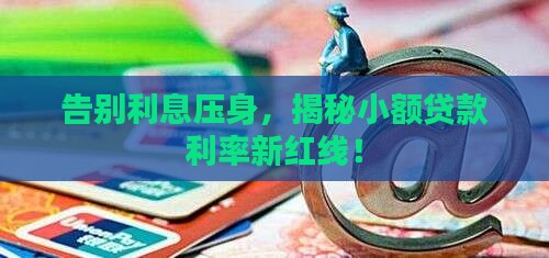 小额贷款利率限额