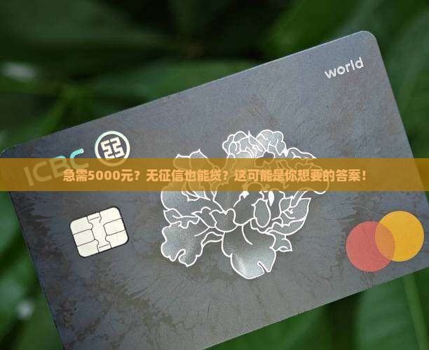 无征信5000元贷款