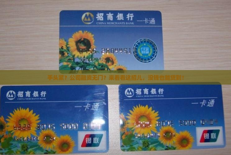公司没钱能贷款吗怎么贷