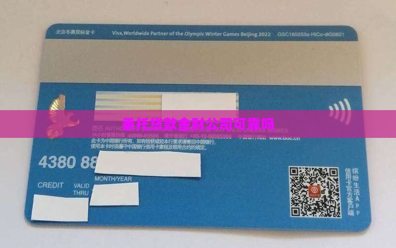 委托贷款金财公司