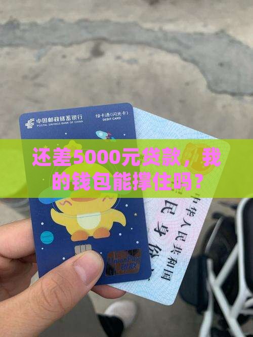 银行贷款余额5000元