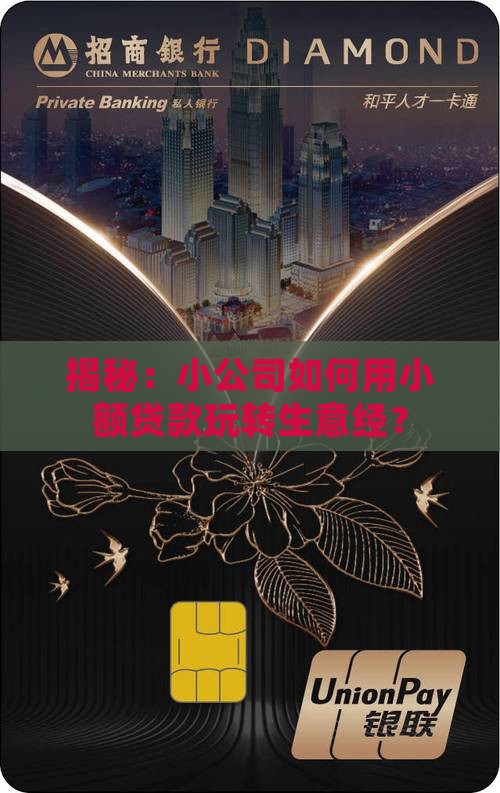 公司小额贷款经营范围