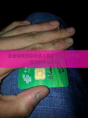 企业信用贷款法人责任