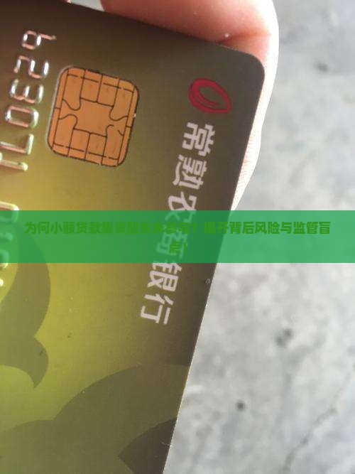 小额贷款集资股东未参与