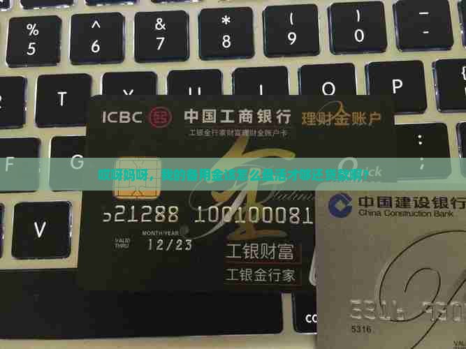 备用金怎么慢慢还清贷款