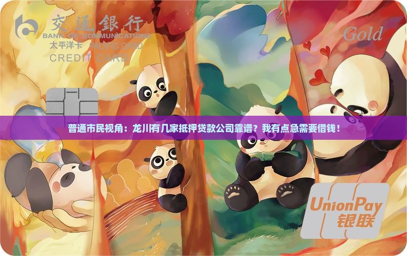 龙川实物抵押贷款公司