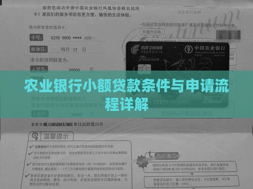 农行能小额贷款
