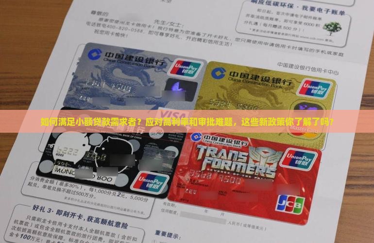 小额贷款需求者