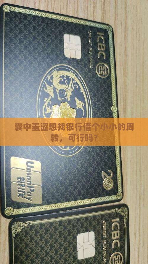 家里没钱去银行贷款