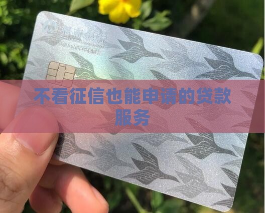 不看征信20000贷款