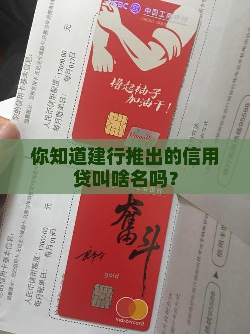 建行的信用贷款叫什么名