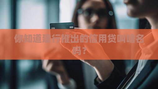 建行的信用贷款叫什么名