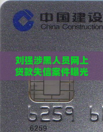 刘强网上贷款
