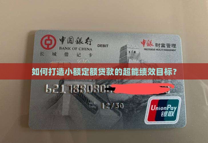 小额贷款绩效目标模