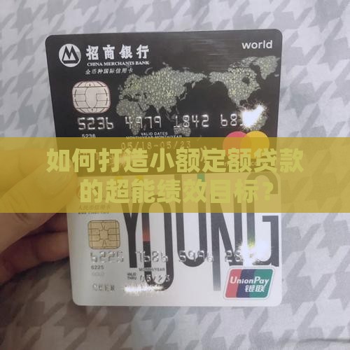 小额贷款绩效目标模