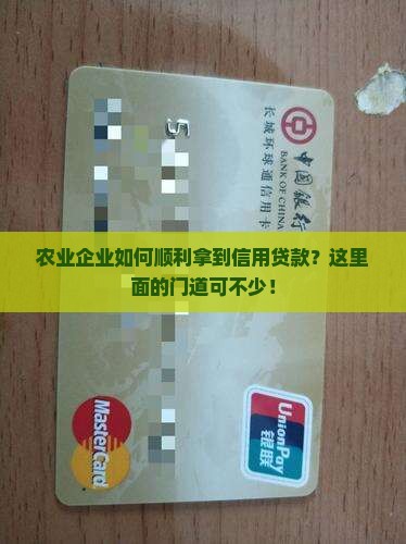 农业企业信用贷款流程