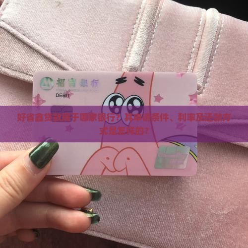 好省鑫贷款是哪个银行
