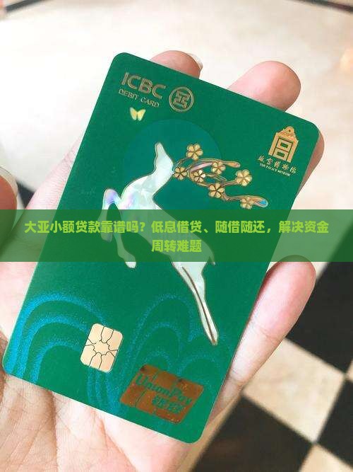 大亚小额贷款