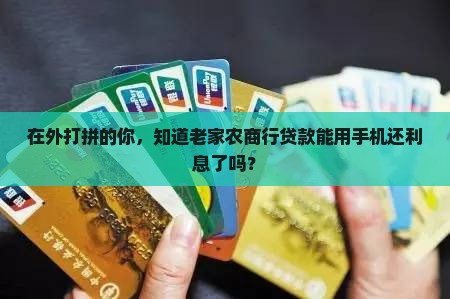 安徽农金贷款手机还利息