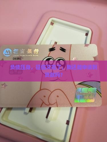 征信花负债高能贷款吗6