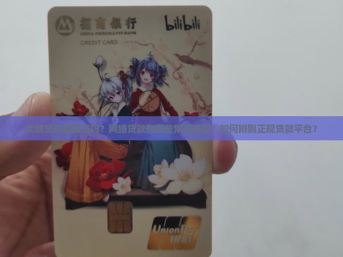 大鹅贷款属于网贷吗