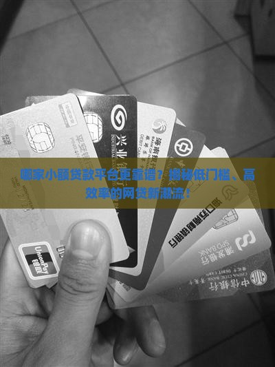 小额贷款平台哪家好点