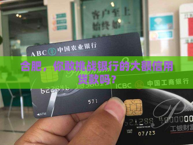 合肥银行信用贷款金额