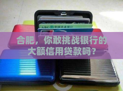 合肥银行信用贷款金额