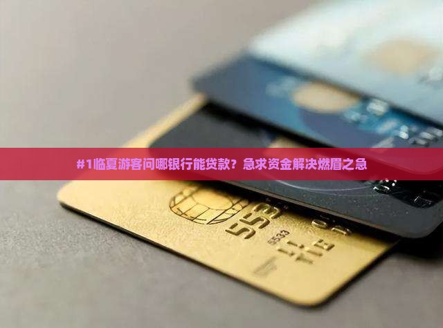临夏什么银行可以贷款