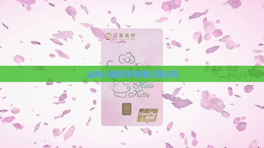 山东贷款收单公司