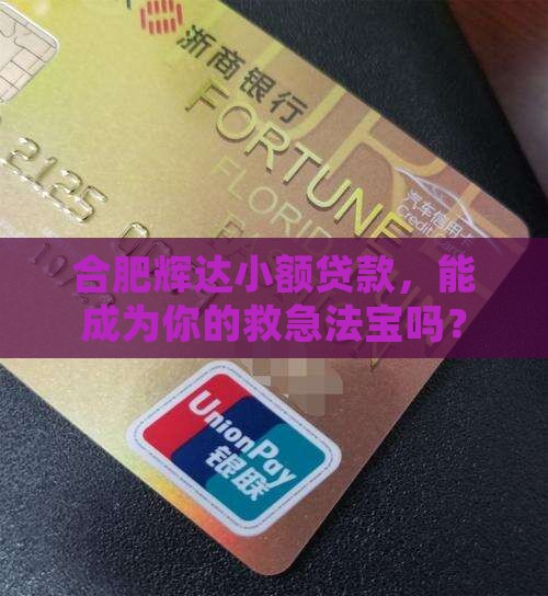 合肥辉达小额贷款